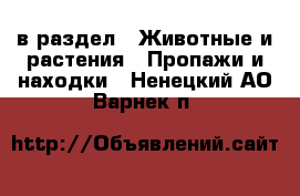  в раздел : Животные и растения » Пропажи и находки . Ненецкий АО,Варнек п.